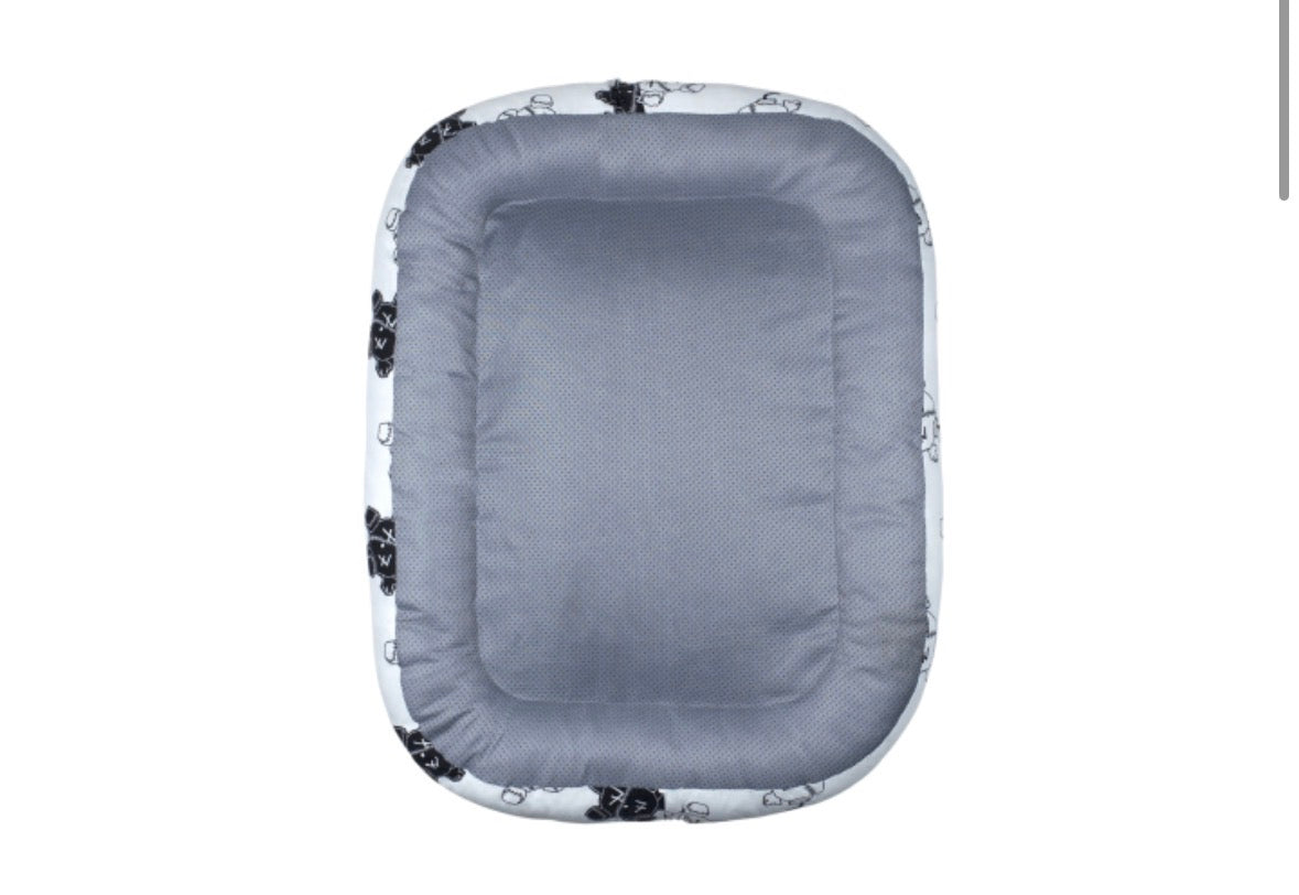 BTS Las Vegas pop up pet cushion